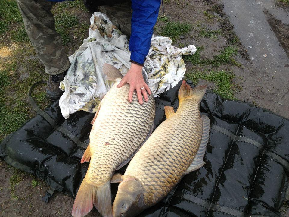 Balta lui Ben 1 - 1 apr. - 3662057205503949557697968595n.jpg